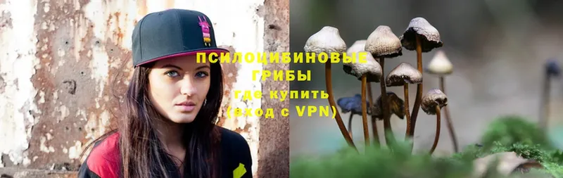 Псилоцибиновые грибы Psilocybe  Бугуруслан 